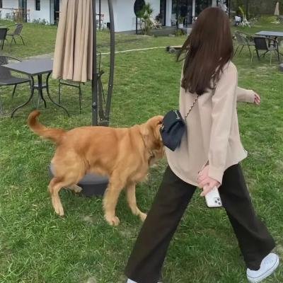 双眼凝视